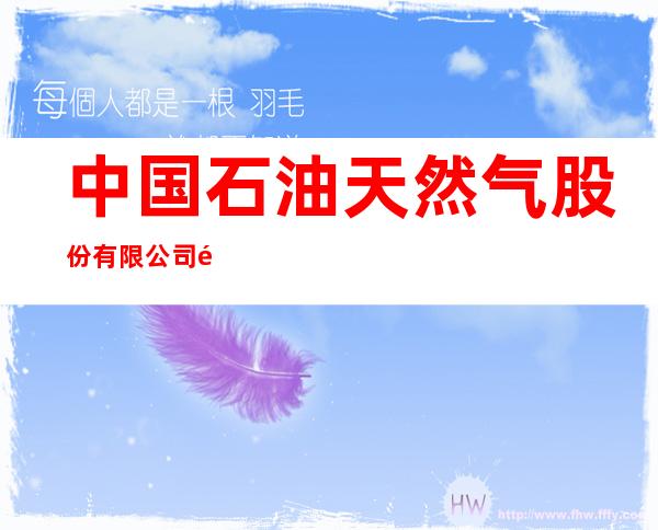 中国石油天然气股份有限公司黑龙江双鸭山友宝石油分公司第五加油站